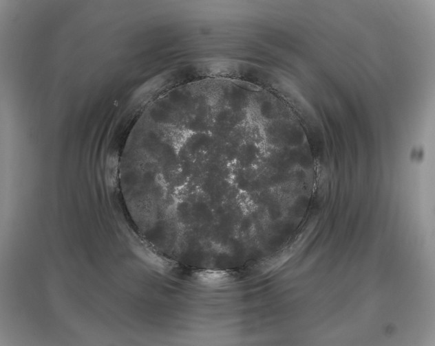 X0000097630189200803071539