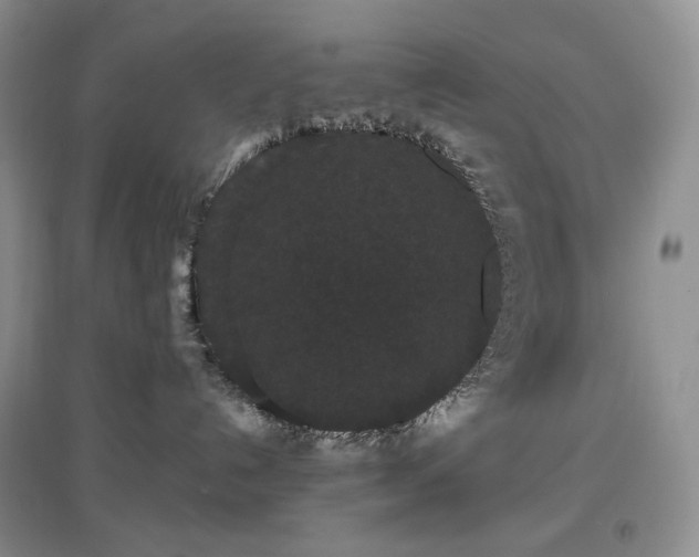 X0000097630192200803071539