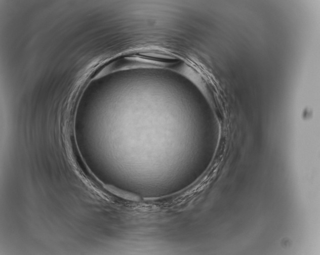 X0000097630193200803071538