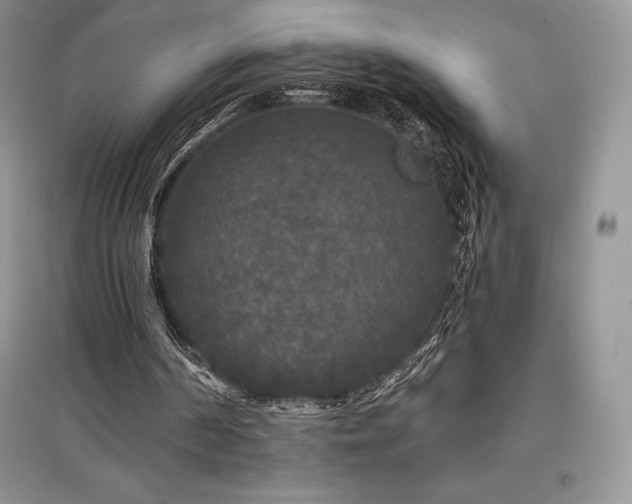 X0000097630194200803071538