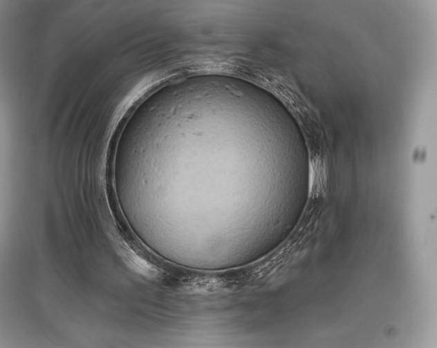 X0000097630195200803071538