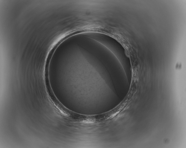 X0000097630196200803071538