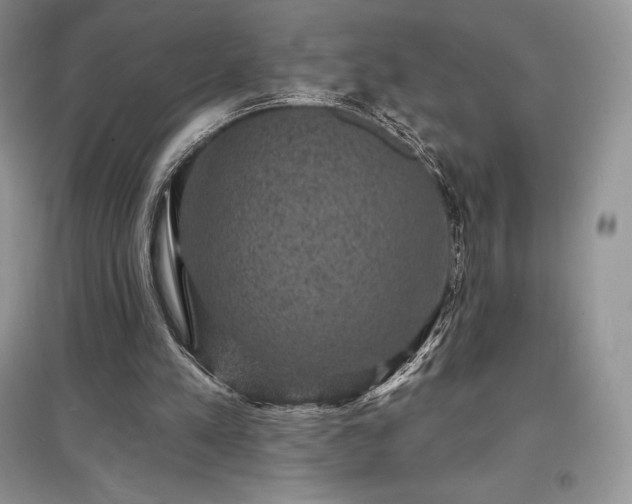 X0000097630197200803071538