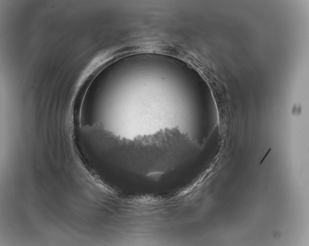 X0000097630198200803071538