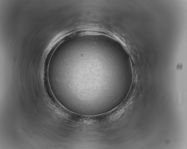 X0000097630199200803071538