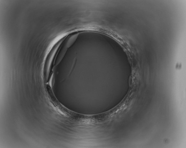 X0000097630200200803071538