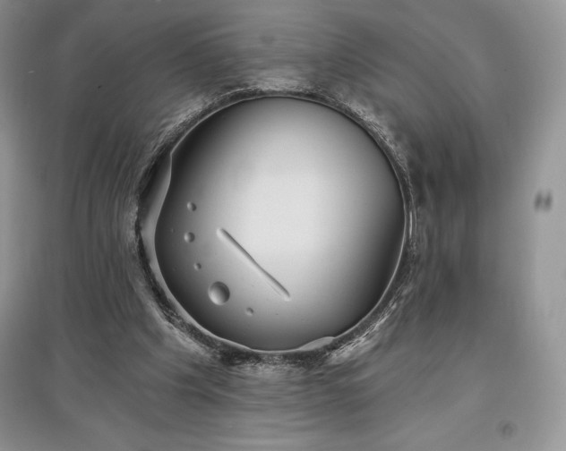 X0000097630201200803071538