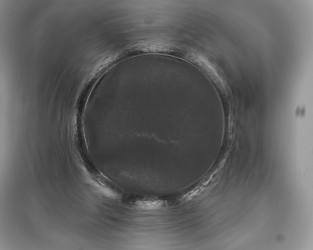 X0000097630202200803071538