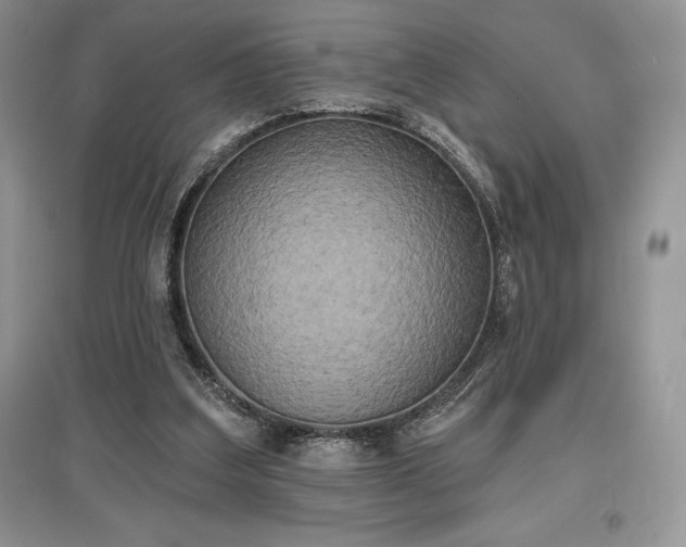 X0000097630203200803071538