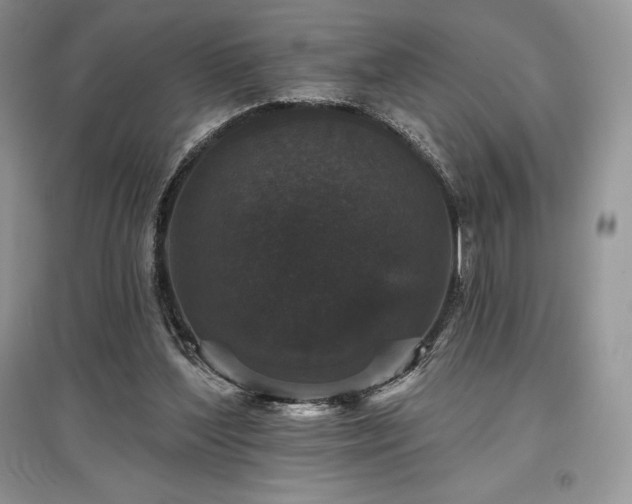 X0000097630204200803071538