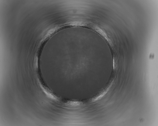 X0000097630205200803071538