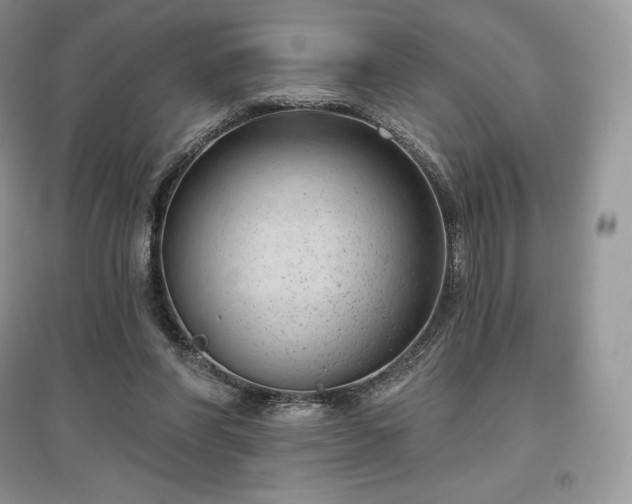 X0000097630206200803071538