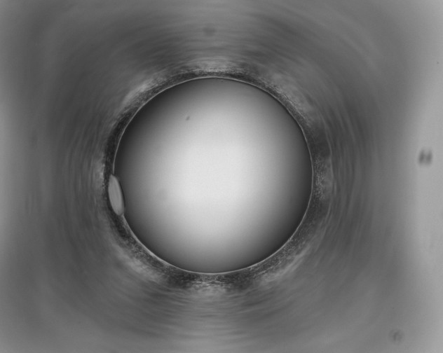 X0000097630207200803071538