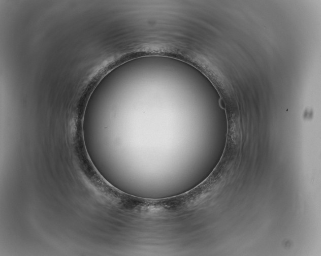 X0000097630208200803071538