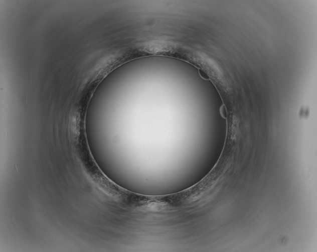 X0000097630210200803071538