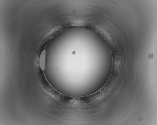 X0000097630211200803071538