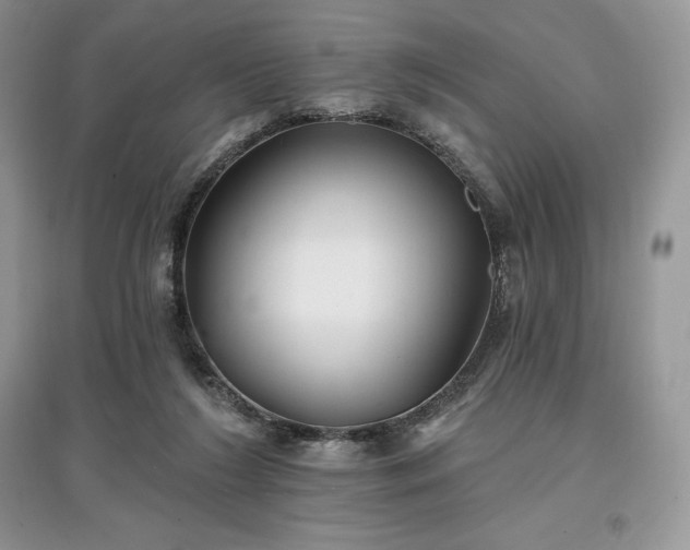 X0000097630212200803071538