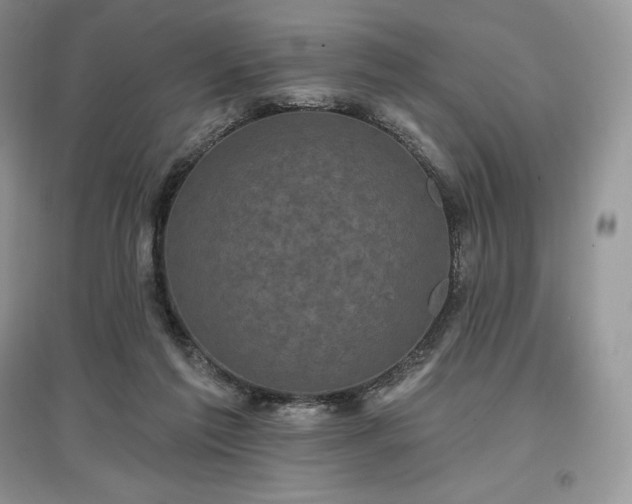 X0000097630213200803071538