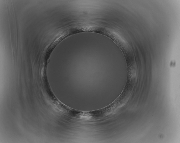 X0000097630214200803071538