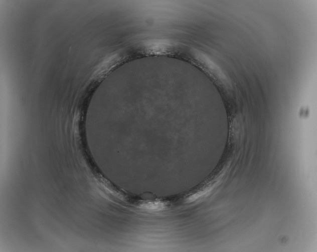 X0000097630217200803071538