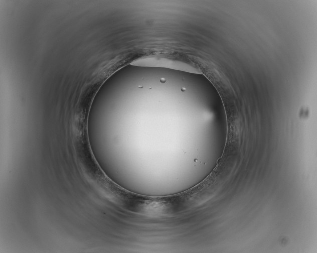 X0000097630218200803071538