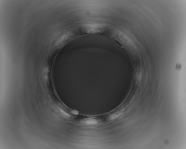 X0000097630219200803071538