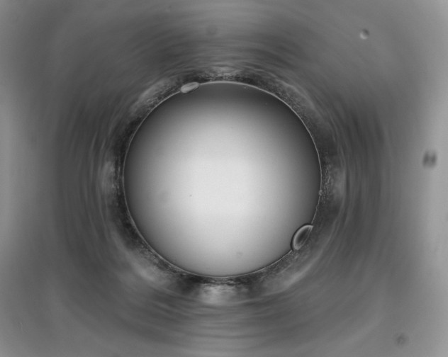 X0000097630220200803071538