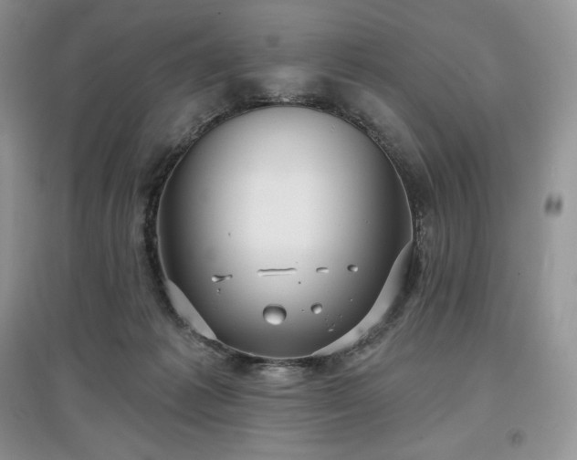 X0000097630221200803071538