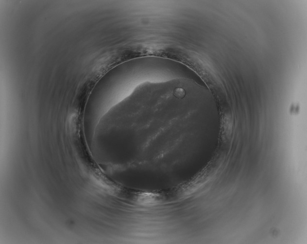 X0000097630222200803071538