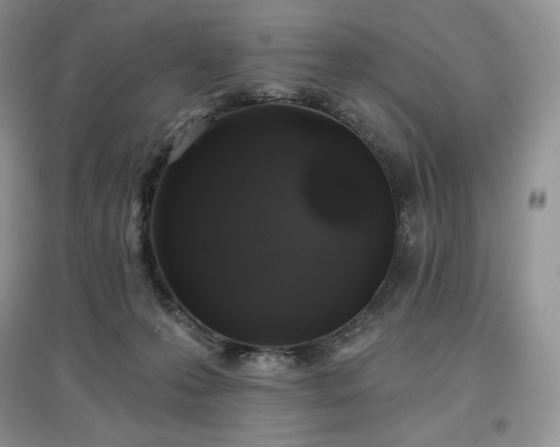 X0000097630223200803071538