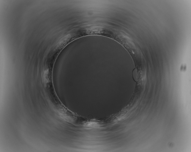 X0000097630224200803071538