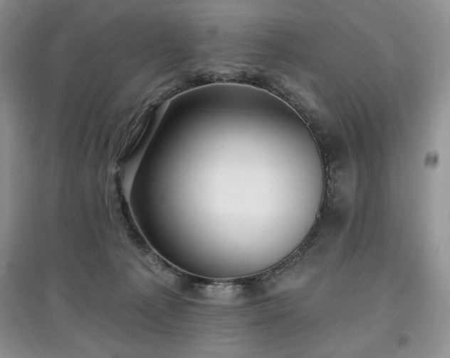 X0000097630225200803071538