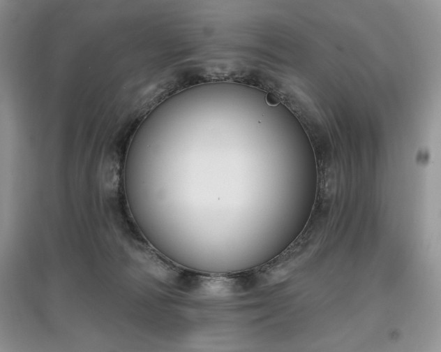 X0000097630226200803071538