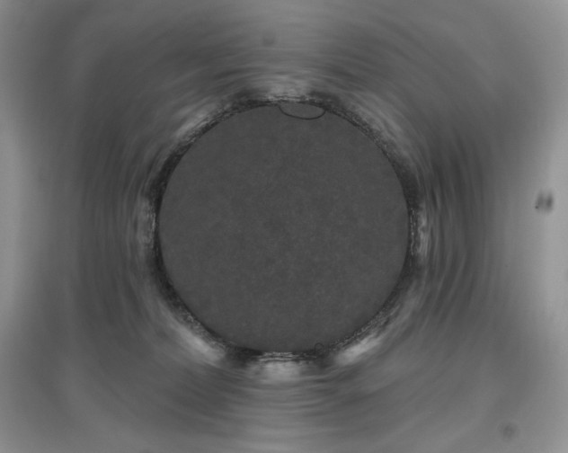 X0000097630228200803071538