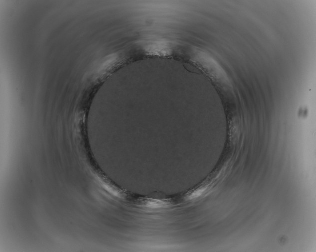 X0000097630229200803071538