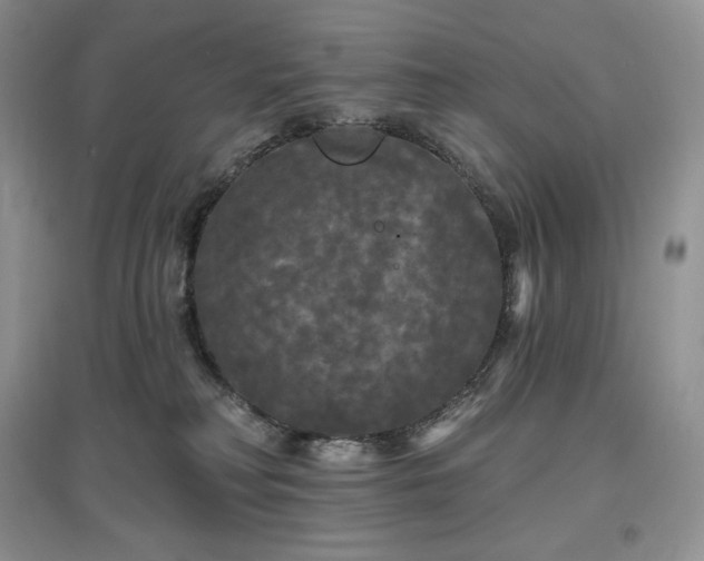 X0000097630230200803071538