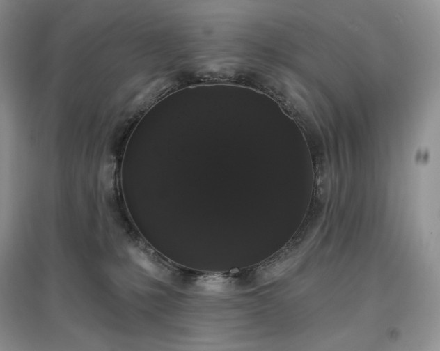 X0000097630231200803071538