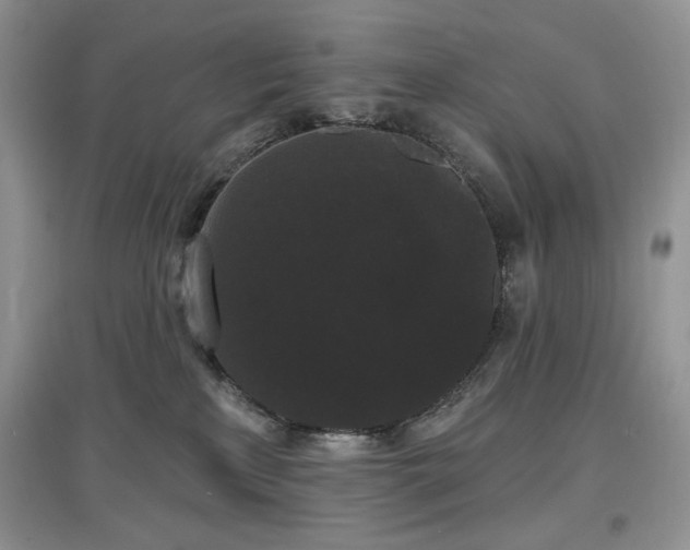 X0000097630233200803071538