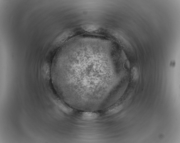 X0000097630234200803071538