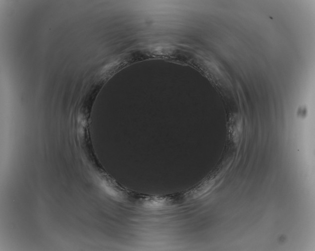 X0000097630235200803071538