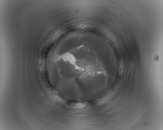 X0000097630236200803071538