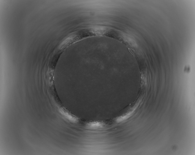 X0000097630237200803071538