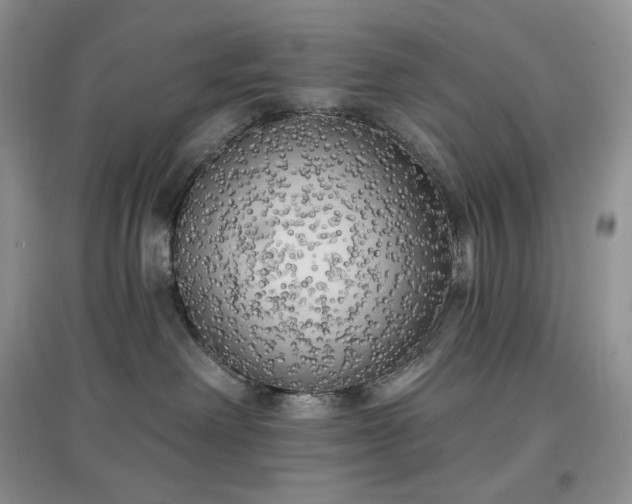 X0000097630238200803071538