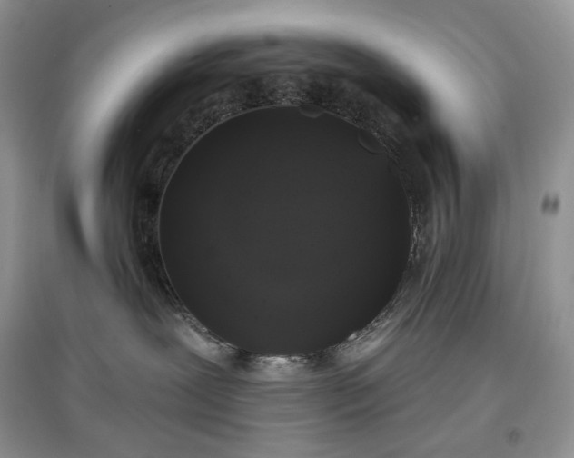 X0000097630239200803071538