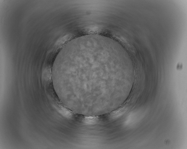 X0000097630240200803071538