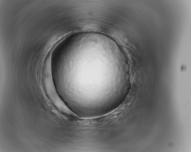 X0000097630241200803071537