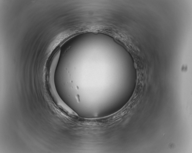 X0000097630242200803071537