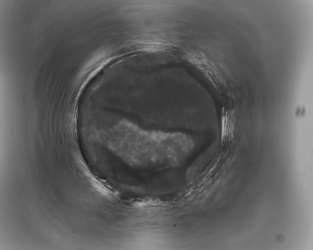 X0000097630243200803071537