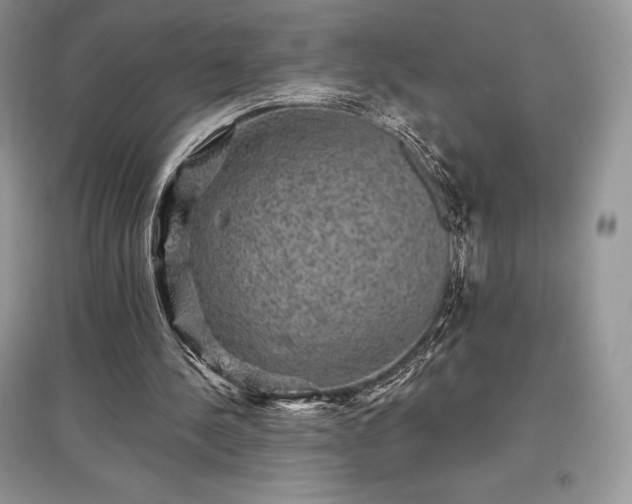 X0000097630244200803071537