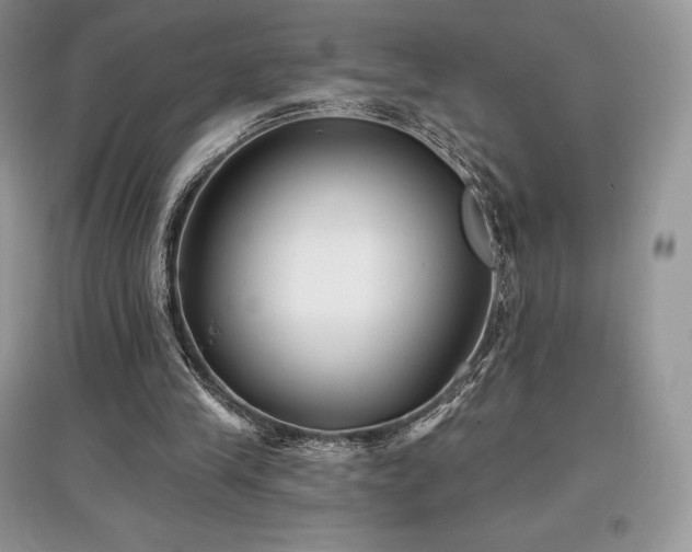 X0000097630245200803071537